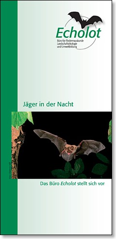 Echo-Flyer2