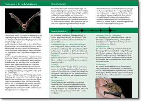 Echo-Flyer1